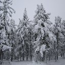 ���� �������, ����������, 49 ��� - ��������� 5 ������� 2016 � ������ ������