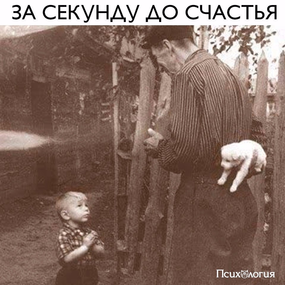   ()-------> - 23  2017  17:11