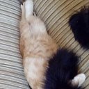 ���� Q, ����������� - ��������� 12 ������ 2016 � ������ ������