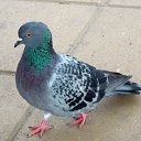 27.09.2016 �� ������� ������� ��������)))�