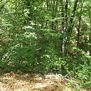 ���� Valera, �����������, 84 ���� - ��������� 22 �������� 2016 � ������ ���� ����������