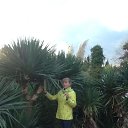 ���� �������, ���������, 57 ��� - ��������� 14 ������� 2016 � ������ ���� ����������