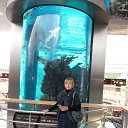 ���� Ala, �������, 61 ��� - ��������� 26 ������� 2016