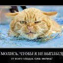 ���� �������, �����������, 60 ��� - ��������� 16 ������� 2016 � ������ ���� ����������