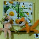 ���� ������, ��������, 48 ��� - ��������� 28 ����� 2017 � ������ ������ ��������