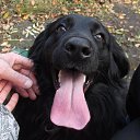 ���� ������, ����������, 65 ��� - ��������� 3 ������� 2016