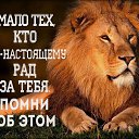 ���� �����, ������, 47 ��� - ��������� 27 ������ 2017