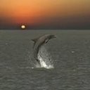 ���� ��������, ���������� - ��������� 27 ������� 2016 � ������ ���� ����������