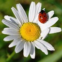 ���� ����, ������������, 48 ��� - ��������� 22 ����� 2017 � ������ ���� ����������