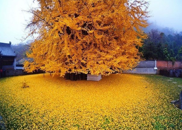 #@https://fotostrana.ru/away?to=/sl/XE2