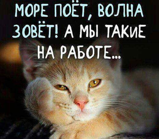 ��� ���� - 13 ������� 2016 � 00:52