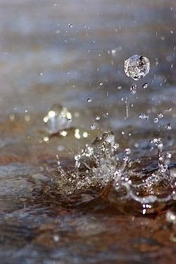      ...    ... ,      ... - 3