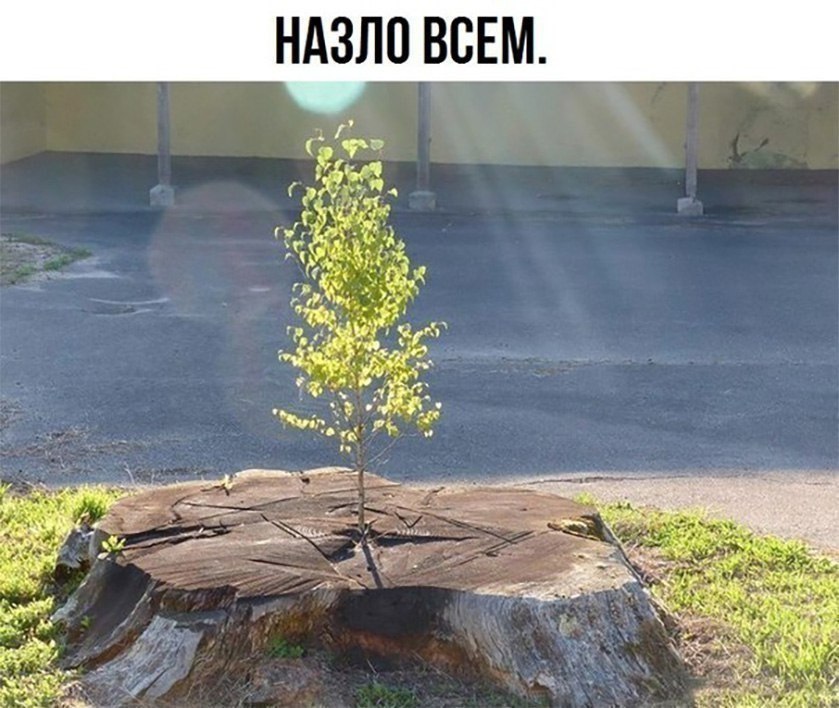 ������� ��� ���� - 3 ������ 2017 � 19:23