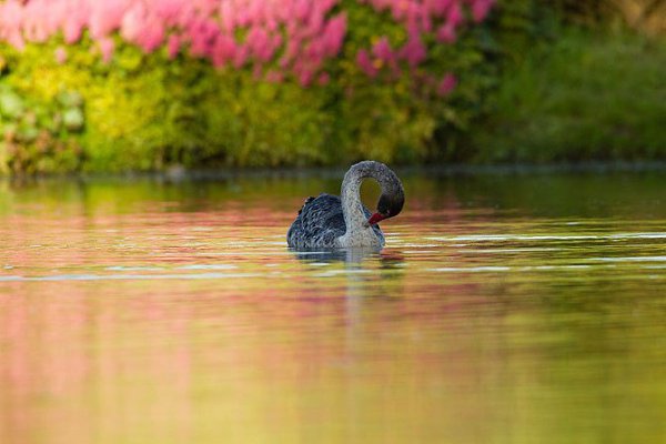 ))).�������������� ��� Maple Glen � ����� �������� �������������� ��� Maple Glen ���������� � ����� ... - 6