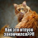 ���� ����������, �������������, 47 ��� - ��������� 14 �������� 2016 � ������ ������ ��������