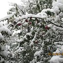 ���� ����, ������, 59 ��� - ��������� 15 ������� 2016 � ������ ������ ��������