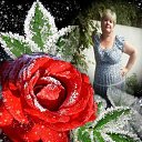  , -, 61  -  8  2016    -  