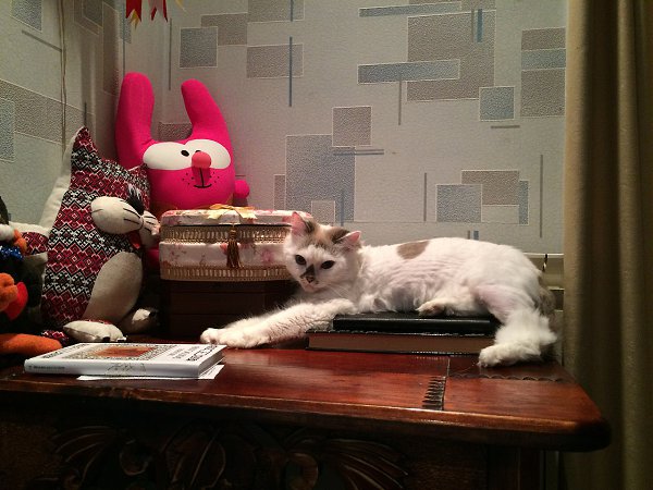 #_.   2-    :- ... - 9