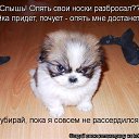 ���� Falia, ������ - ��������� 27 ������� 2016 � ������ ��������:)�
