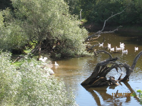  - 13  2017  18:30 - 2