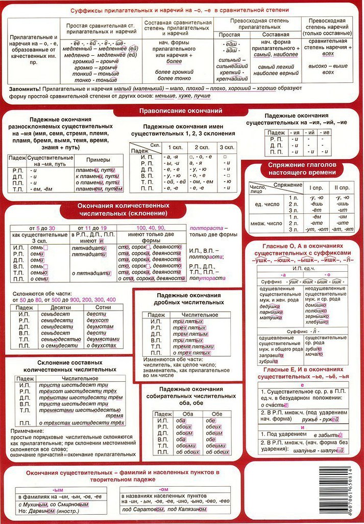 Главные правила русского языка в картинках