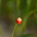  , --, 44  -  20  2016    - 2015