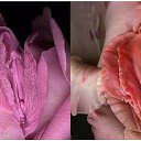 ���� �����, ������, 45 ��� - ��������� 10 ������� 2016 � ������ ������ ��������