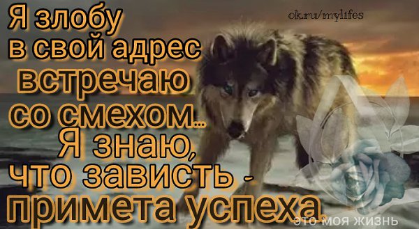   - 10  2017  18:11