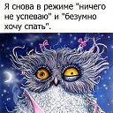 ���� ������, ��������� - ��������� 18 ������ 2017 � ������ ������ ��������