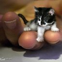 ���� ������, �����������, 47 ��� - ��������� 15 ����� 2017 � ������ ���� ����������