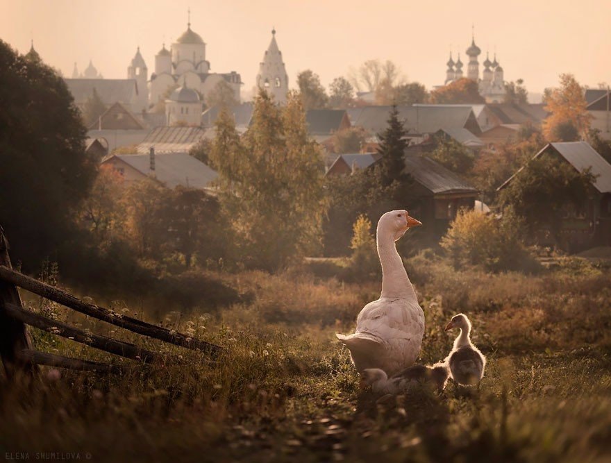 Суздаль Эстетика