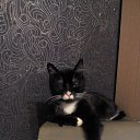 ������!!! �� ������� ���� ����������