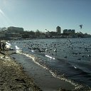 ���� �������, ����� - ��������� 25 ����� 2017