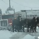 ���� �����, ������, 43 ���� - ��������� 29 ������� 2016 � ������ ������