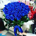 ���� ������, ������ ��������, 46 ��� - ��������� 22 ����� 2017 � ������ ���� ����������