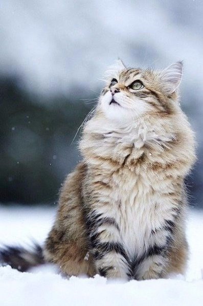 Жизнь приятно красива, когда начинаешь ее замечать... - 5