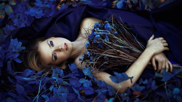 The Lady - 11  2016  21:31