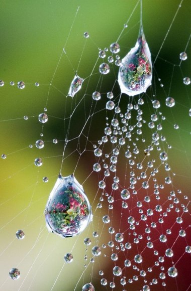   - 30  2016  01:32 - 4