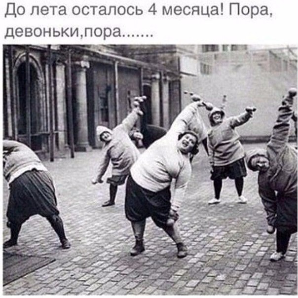 SportFeed - 13  2016  19:42