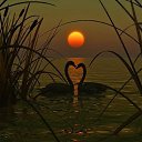 ���� Deniz Derler, �������, 45 ��� - ��������� 18 ������ 2016 � ������ ���� ����������