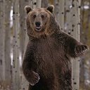 ���� ������, ��������������, 62 ���� - ��������� 15 ������� 2016 � ������ ������