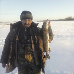 , 53 , 