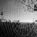  ,  -  13  2016     ... ,   !