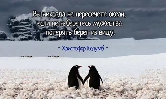 ������� ���� ������������� ����. ����� �� ���� ��������, ������� ����������� ������� � ������, ... - 14