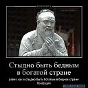 ���� Mao Mao, ������� - ��������� 11 ������� 2016 � ������ ���� ����������