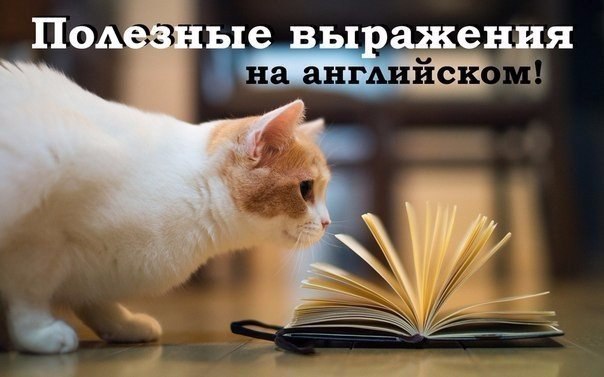 Выражения на английском языке, которые должен знать каждый! it served him right — так ему и надо to ...