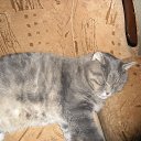 ���� �����, ����, 37 ��� - ��������� 2 ������� 2016 � ������ ���� ����������