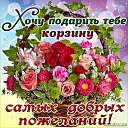 ���� ������, ������-��-����, 68 ��� - ��������� 20 ������� 2016 � ������ ������� ���������