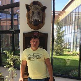 ������, ������, 54 ����