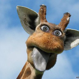 ���� ����, ����������, 52 ���� - ��������� 13 ������ 2016